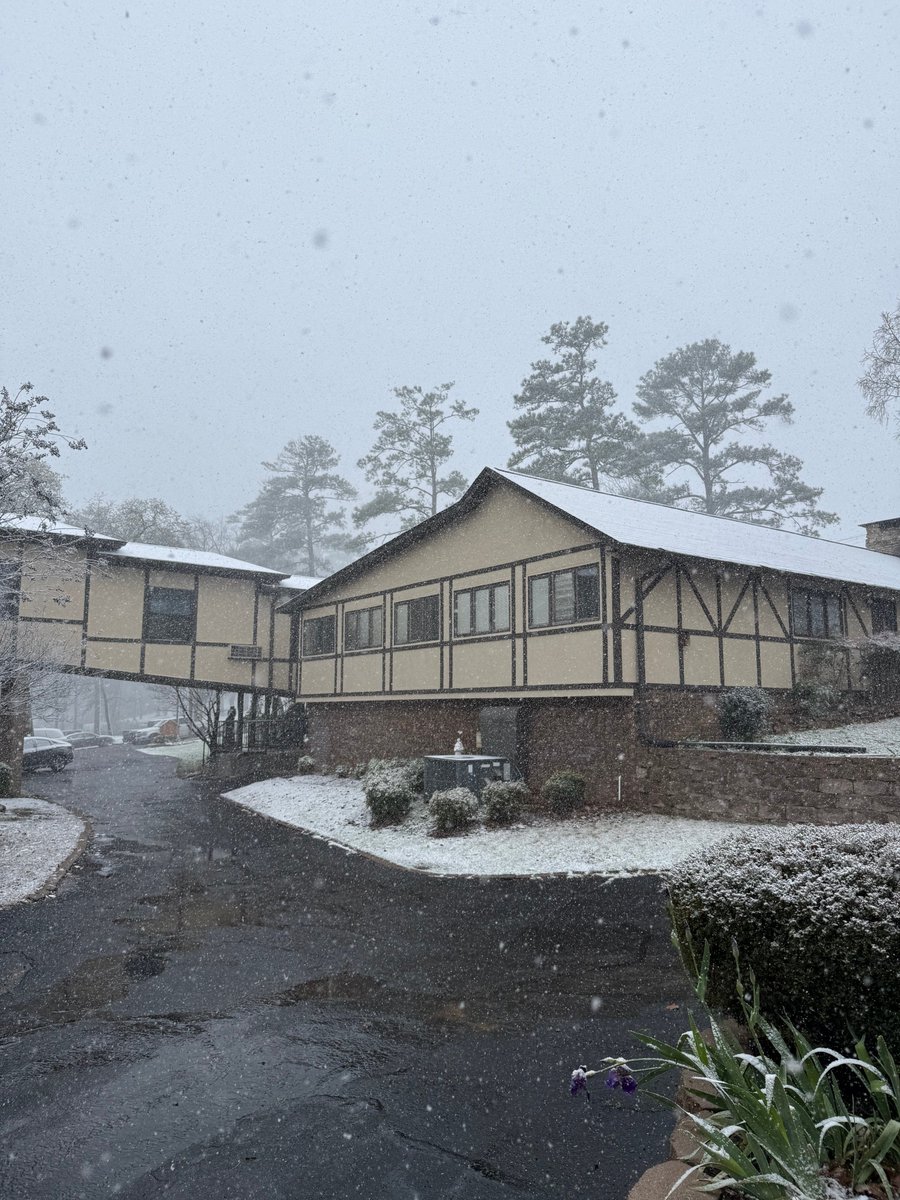 This is an unexpected surprise! ❄️