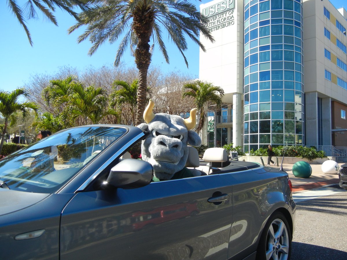 USF St. Petersburg tweet media