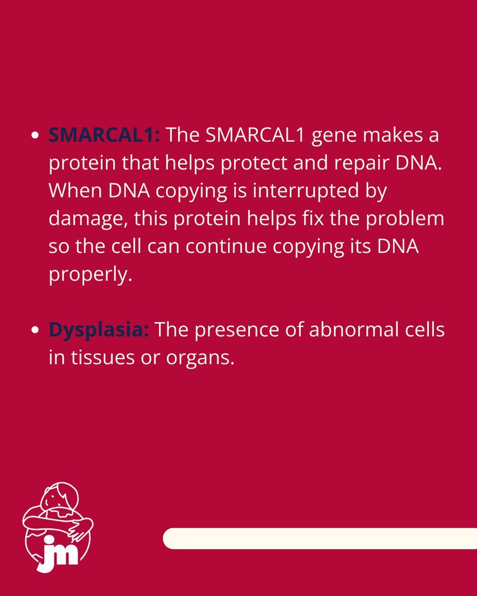 Jeffrey Modell Foundation (JMF) tweet media