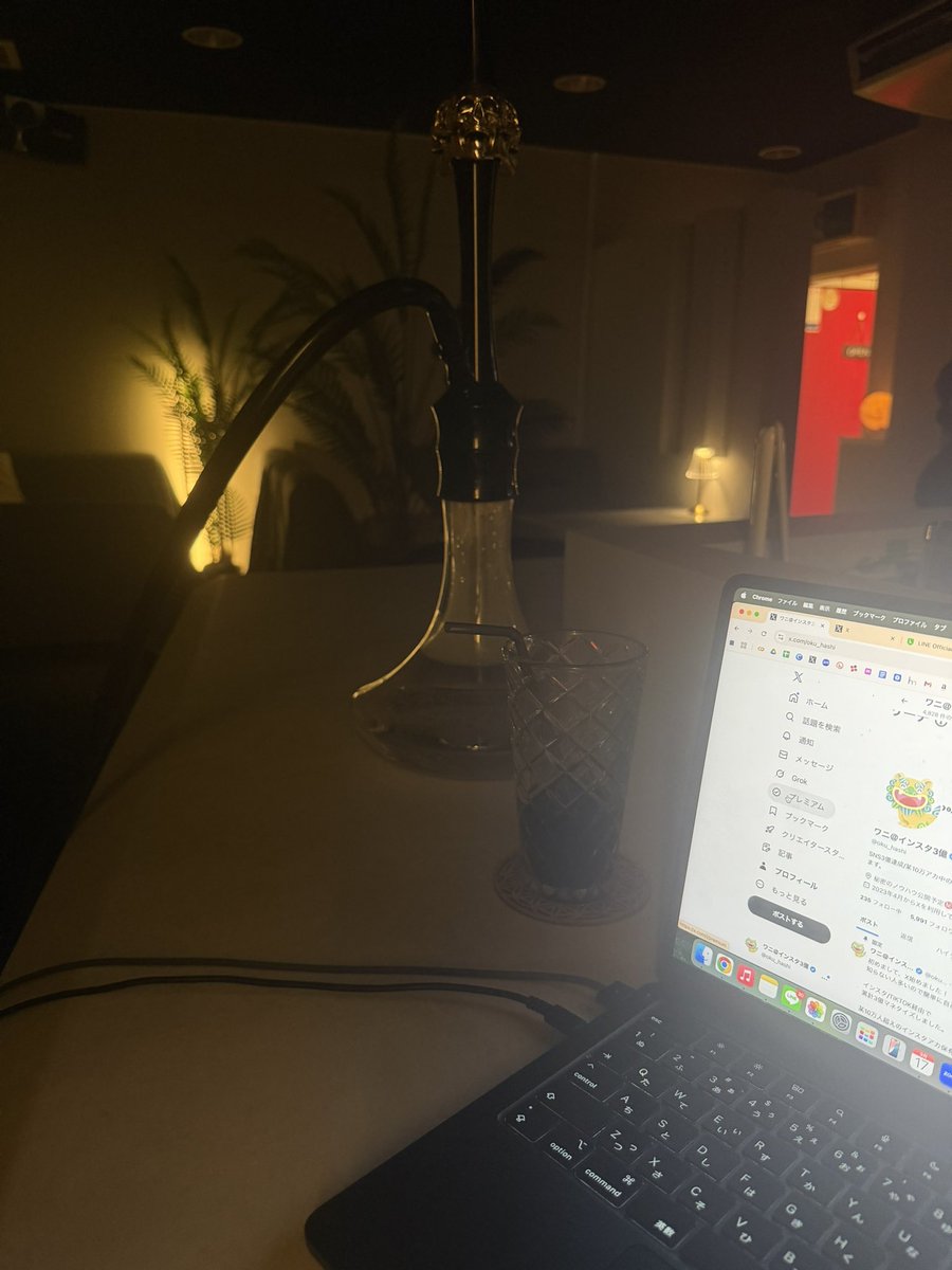 ワニ＠インスタ3億 tweet media