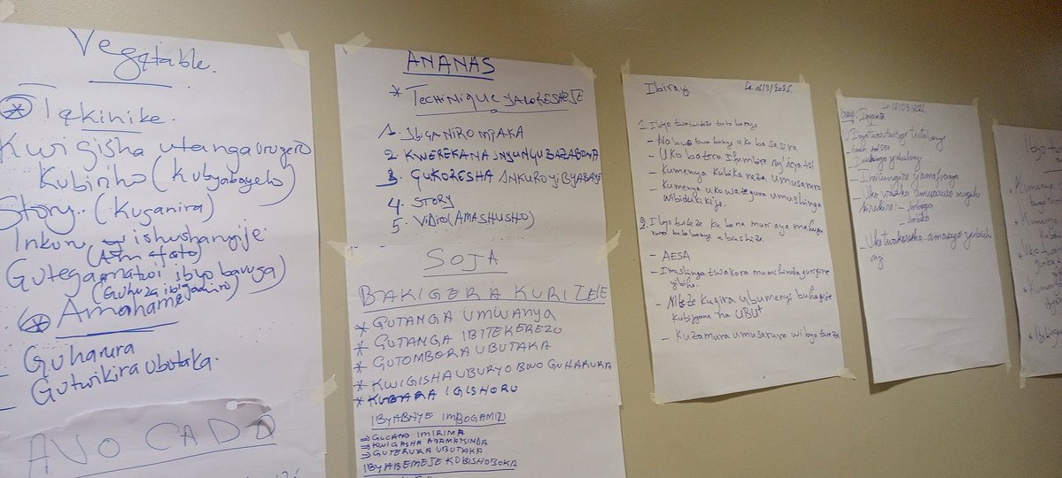 PDD(Peace and Durable Development) tweet media