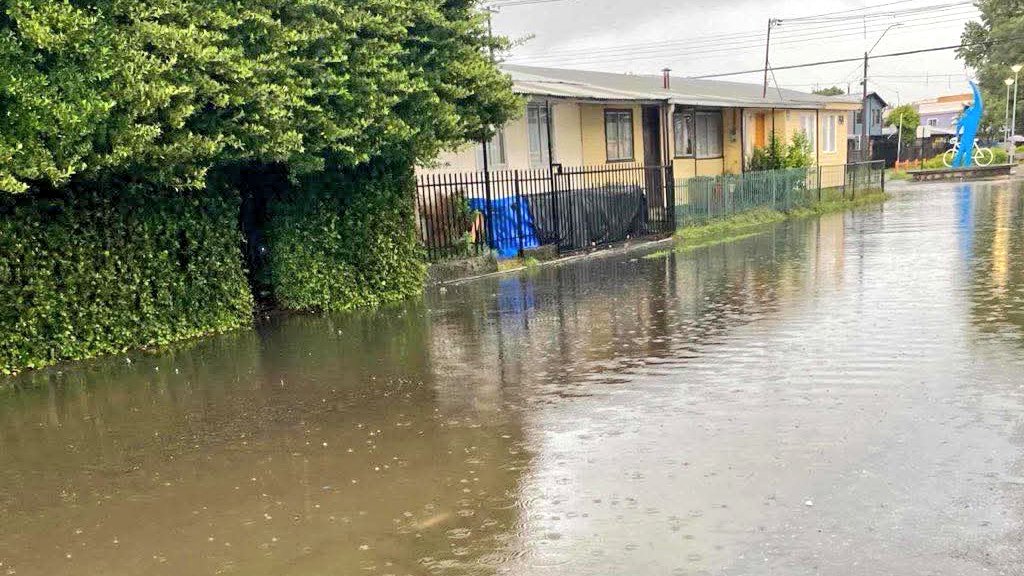 CRUCEINFORMATIVO.CL tweet media