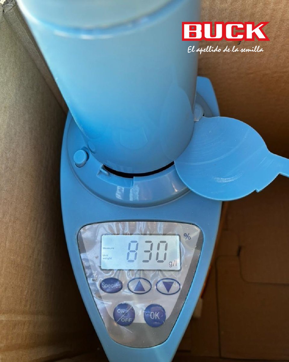 Buck Semillas tweet media