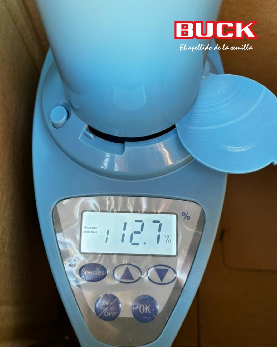 Buck Semillas tweet media