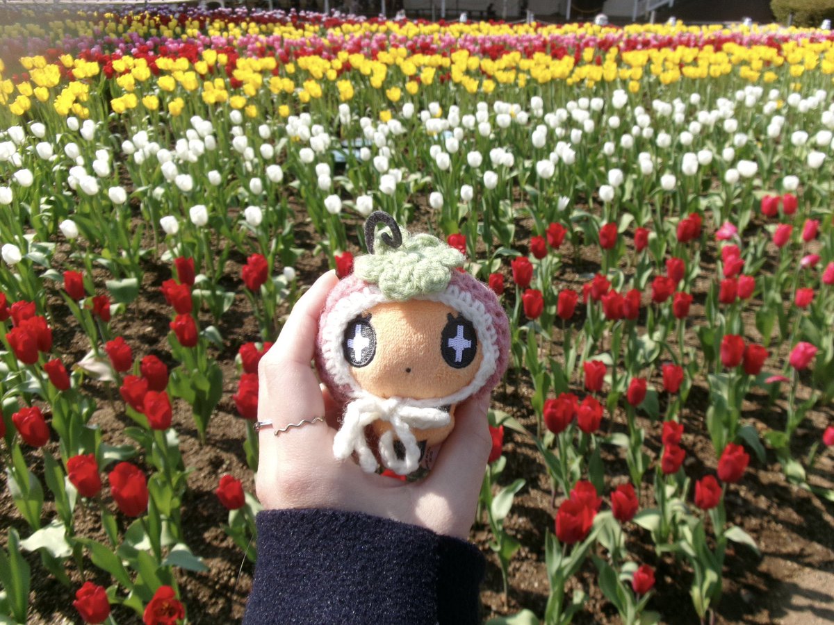 qauioc's tweet photo. 🌷 https://t.co/VRWWNTjM5m