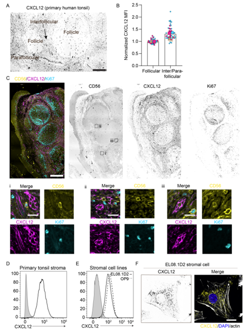 Waggoner Lab tweet media
