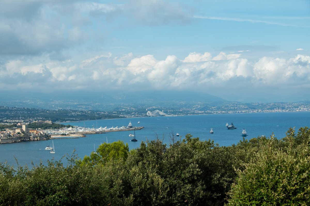 Roger Wellens tweet media