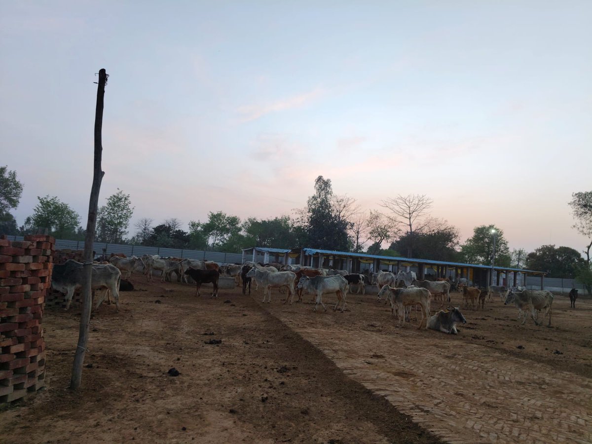 CDO Sitapur tweet media