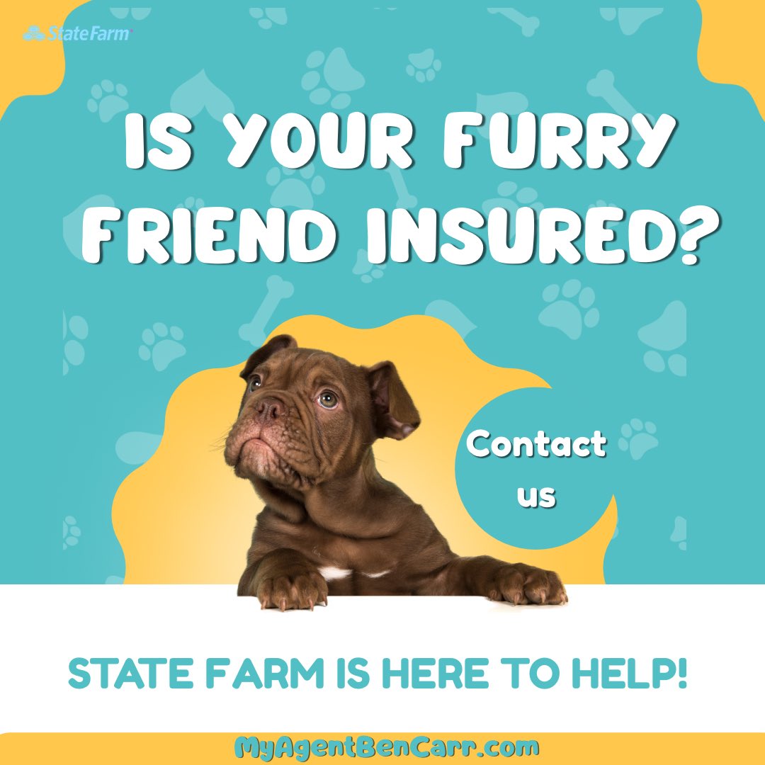 MyAgentBenCarr's tweet image. 🐶🐕 Keep your furry friend healthy with State Farm Pet Insurance! 

📞 Call 415-569-2277 to connect with a State Farm agent today. 

#petinsurance #statefarm #bencarragency