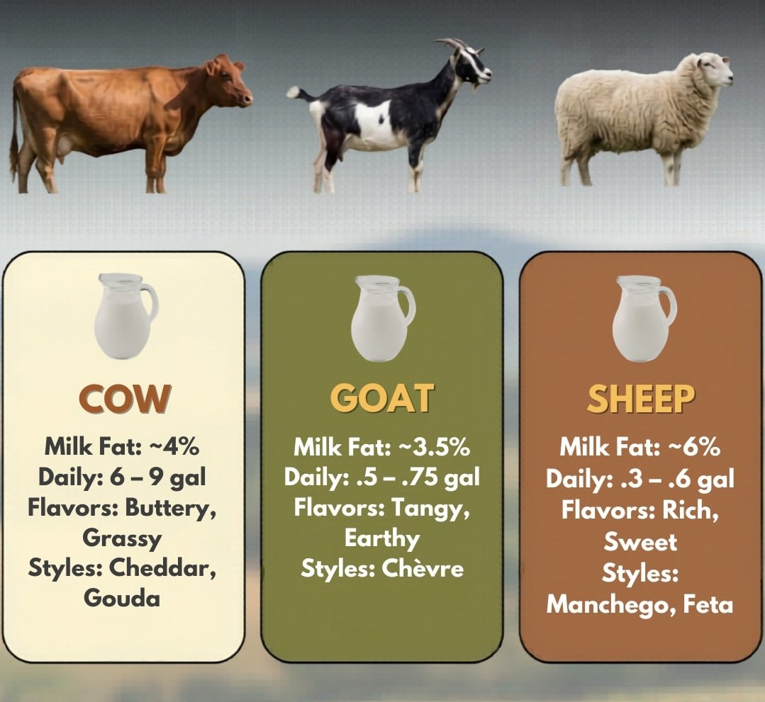 𝐓𝐚𝐫𝐚𝐜𝐡𝐚𝐧𝐝𝐫𝐚 tweet media