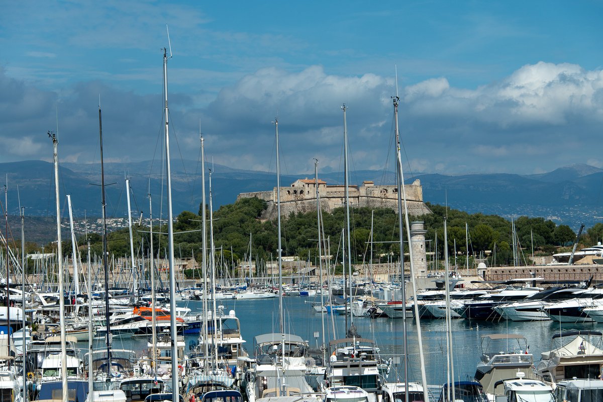 Roger Wellens tweet media