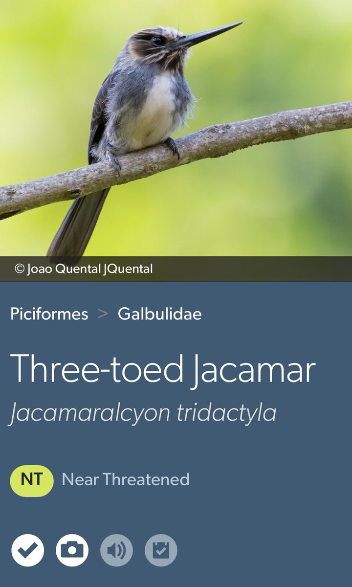 Andrew Guttenberg tweet media