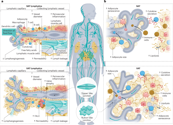 Nature Reviews Endocrinology tweet media