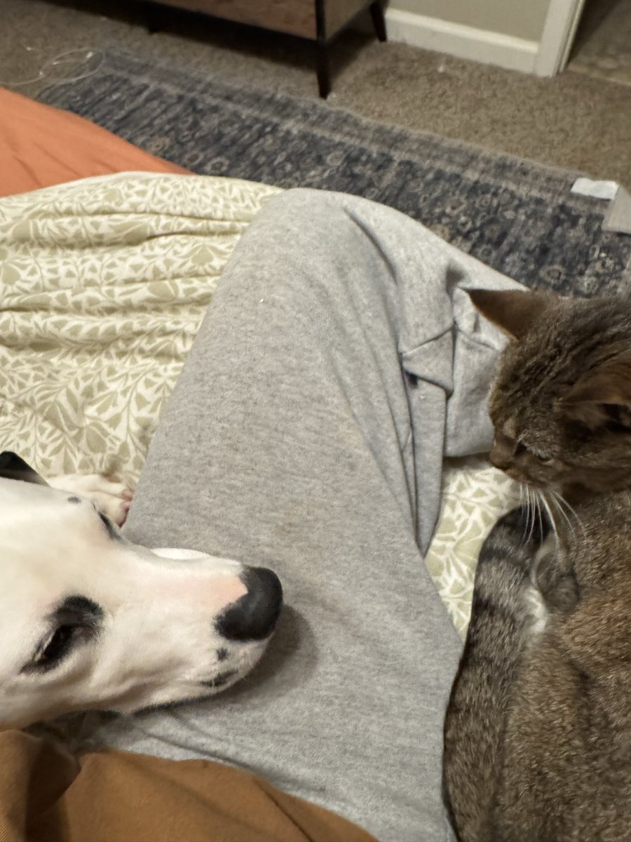 fineokay tweet media