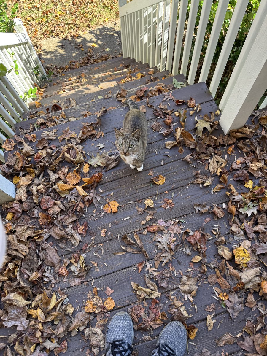 fineokay tweet media