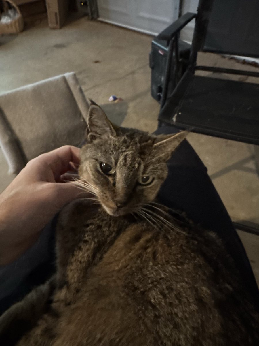 fineokay tweet media