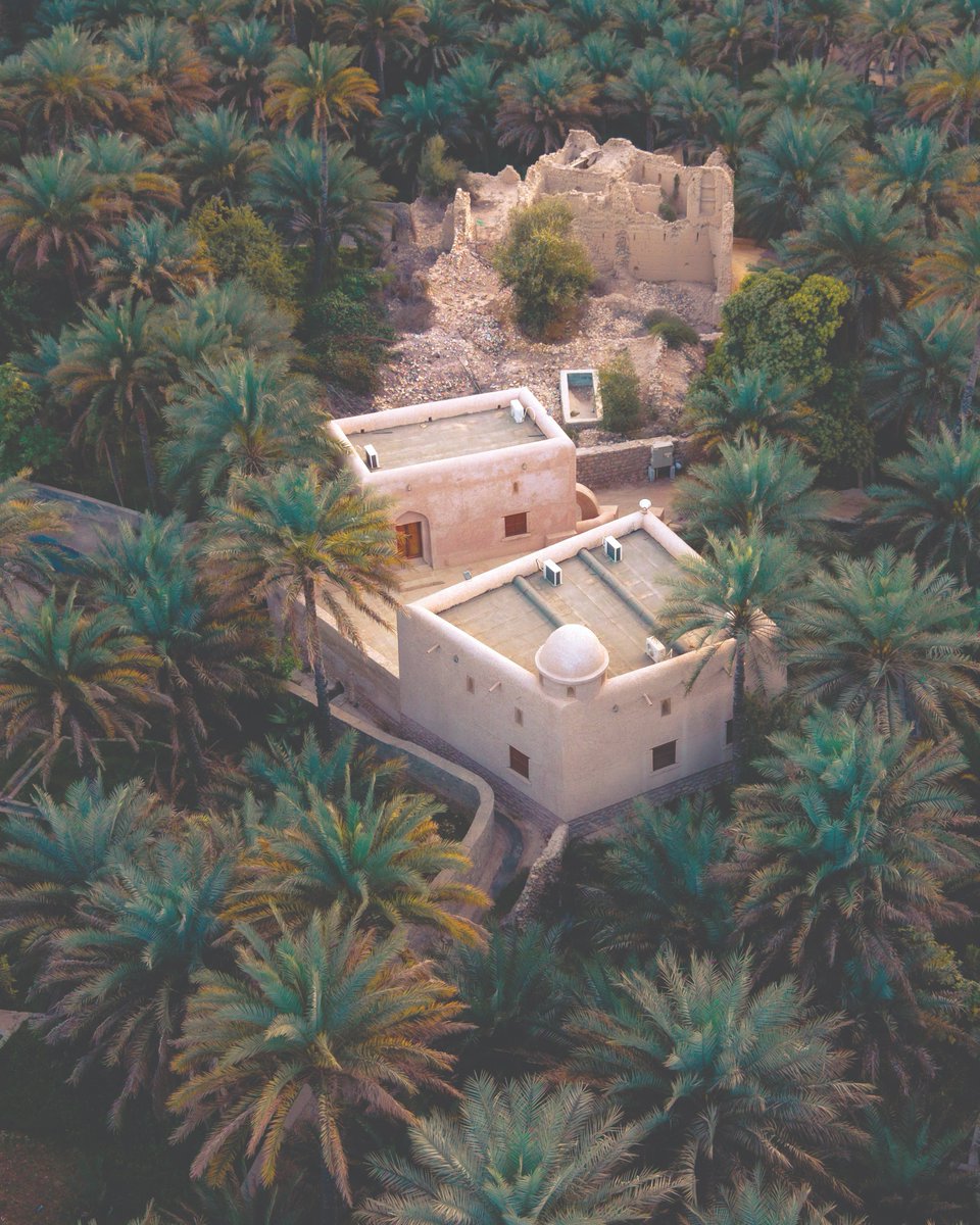 OmanEPress's tweet photo. عمارة تقليدية تحكي بلسان الزمان والمكان 

#جريدة_عمان
https://t.co/OEGXQU4dXG https://t.co/cLvgqPjtK0