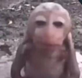 DEZ DIAS para mandarem uma compra que eu fiz de uma cidade à 6 horas de distância da minha