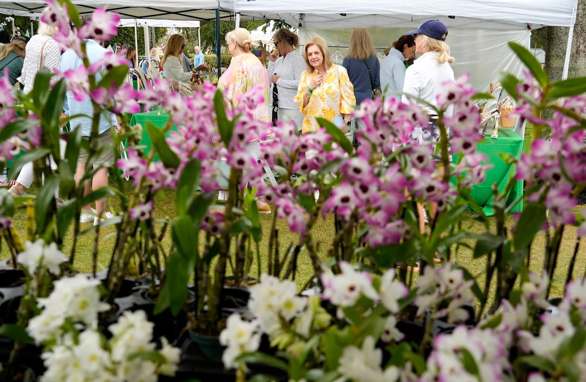 The Four Arts tweet media