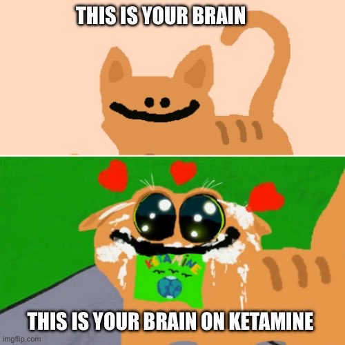 🄵ROG 🄿 OLEON🟧 tweet media