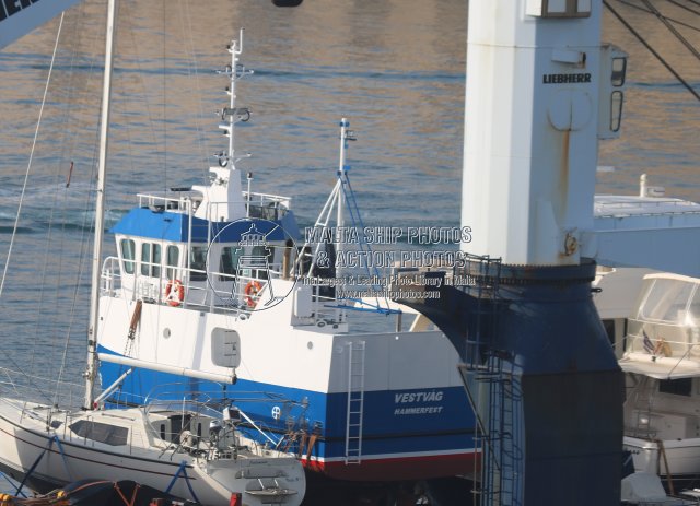 Malta Ship Photos tweet media