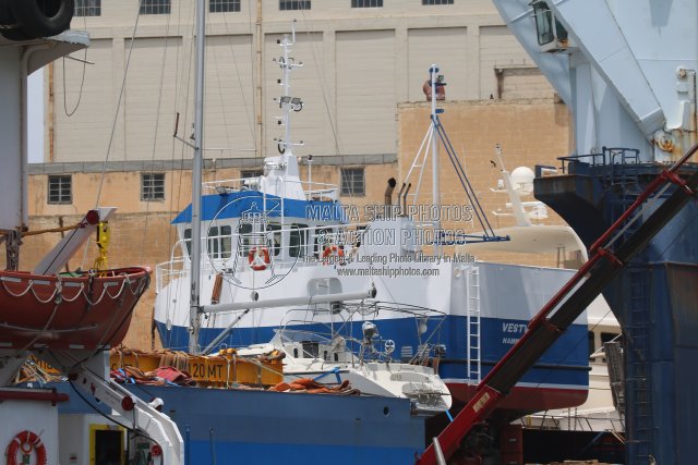 Malta Ship Photos tweet media