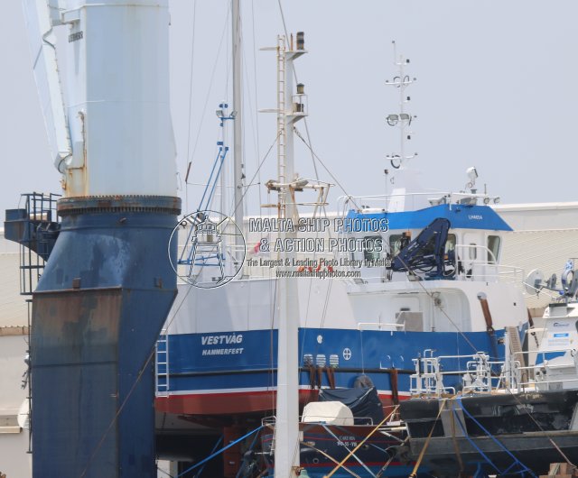 Malta Ship Photos tweet media