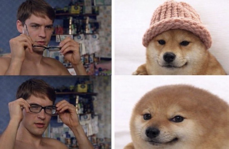 eren.eth 🗡️🛡️ tweet media