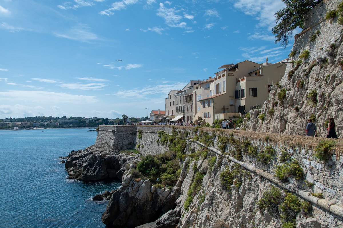 Roger Wellens tweet media