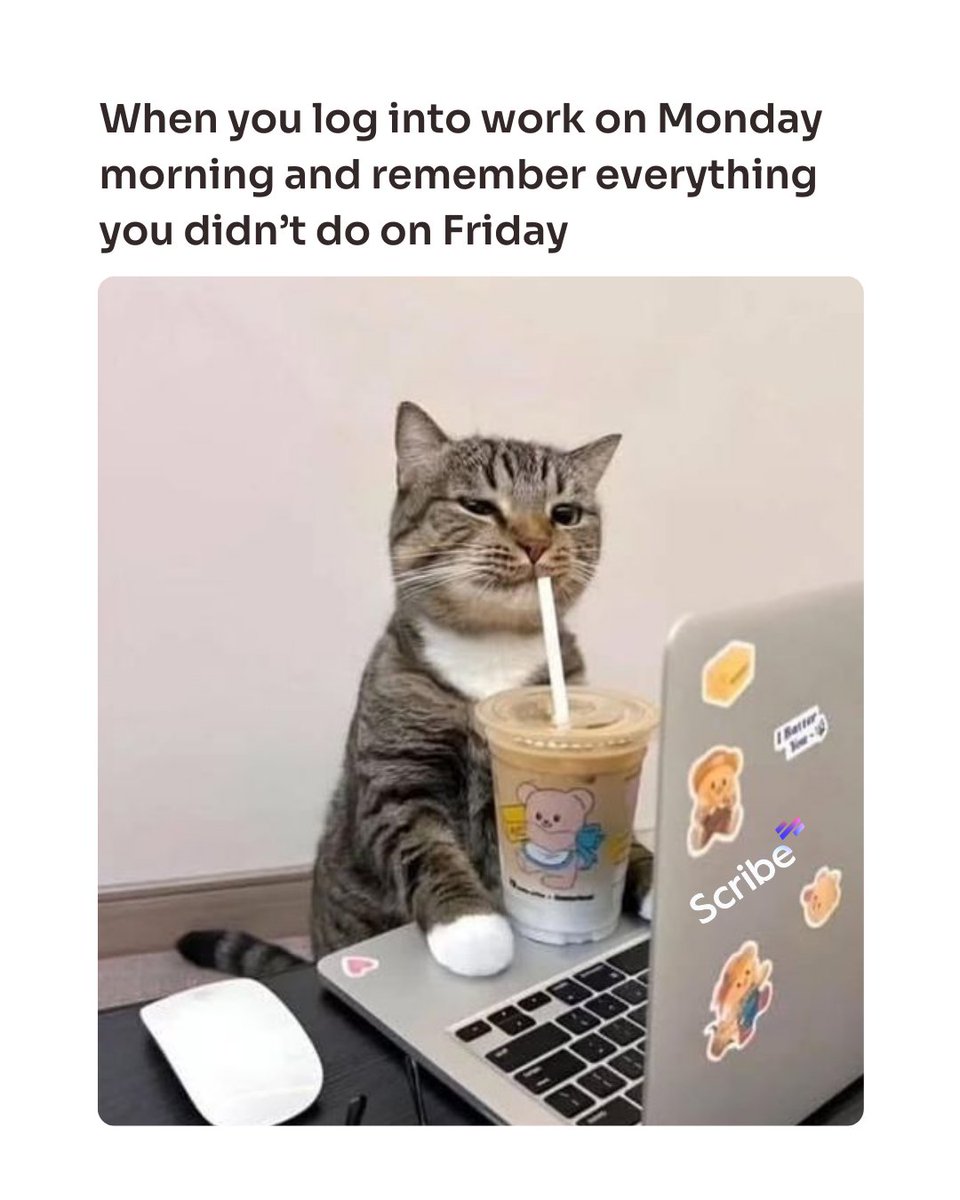 Scribe | Workflow AI Platform tweet media
