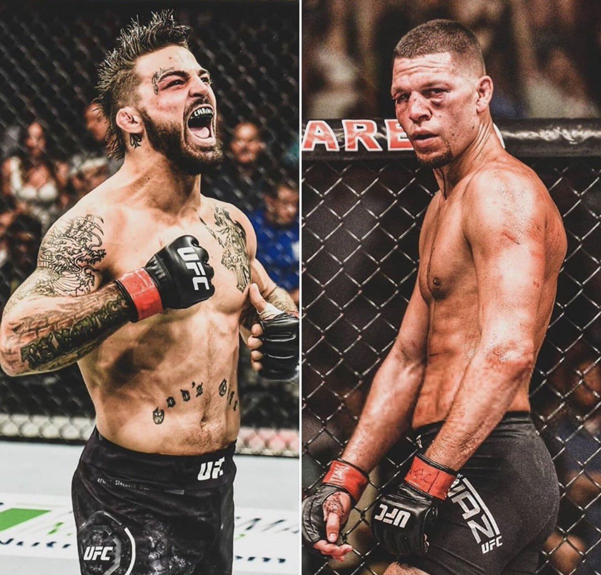 Chicken King MMA tweet media