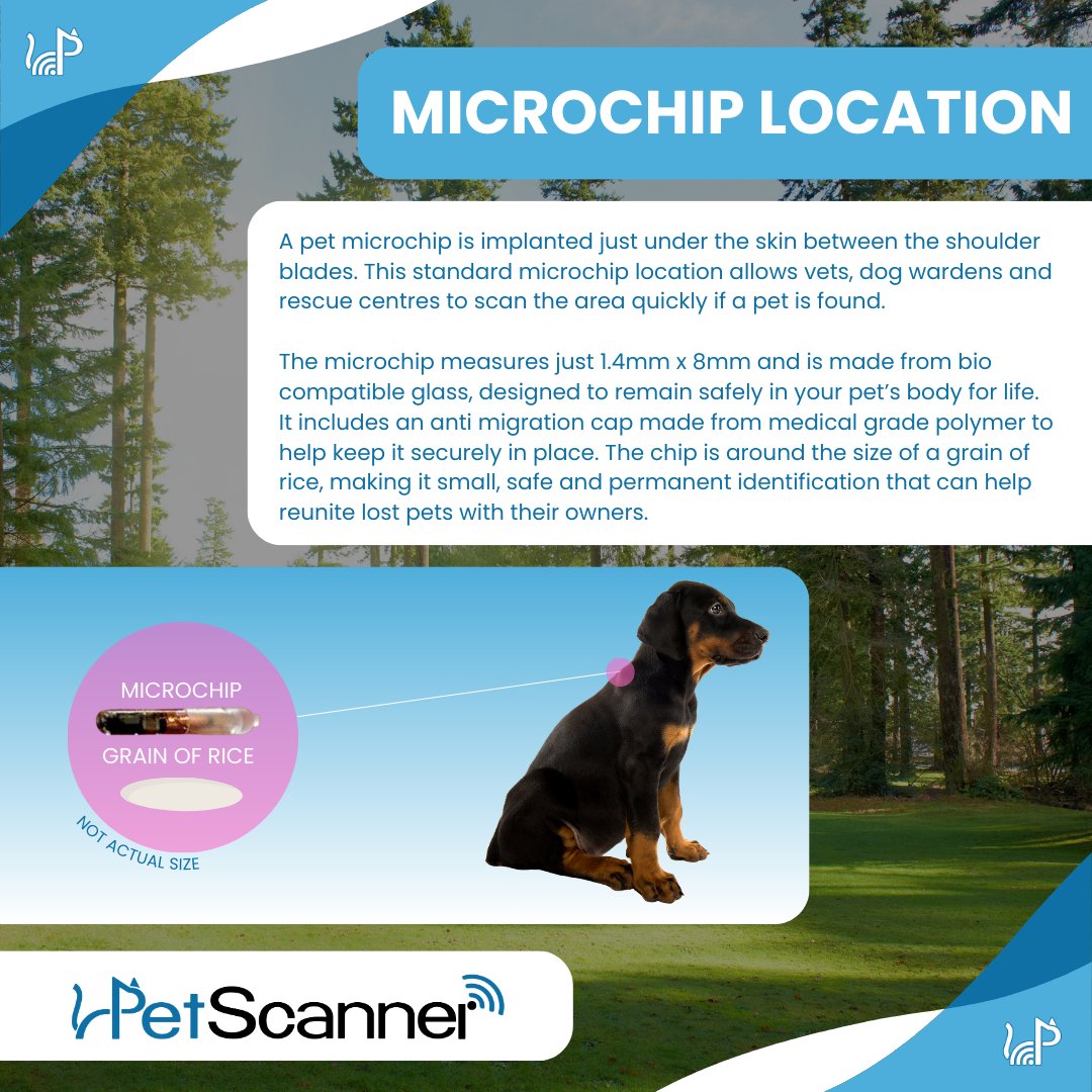 PetScanner tweet media