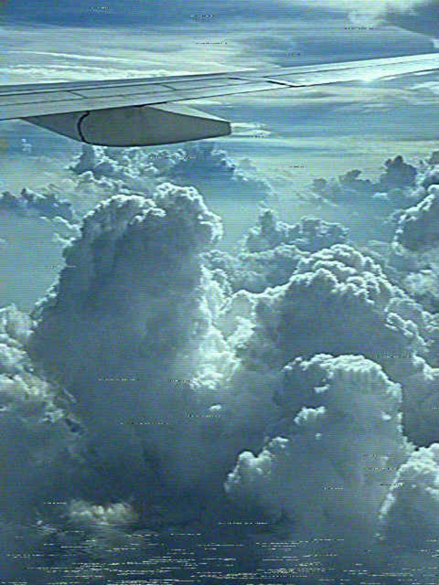 べりる tweet media