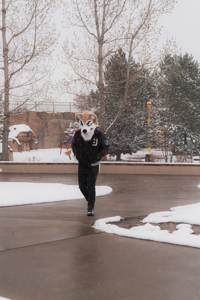 Chad 🔜 Denfur 👀👀👀 tweet media