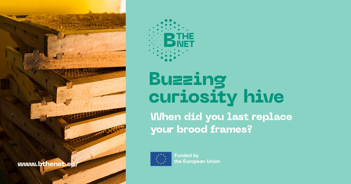 B-THENET tweet media