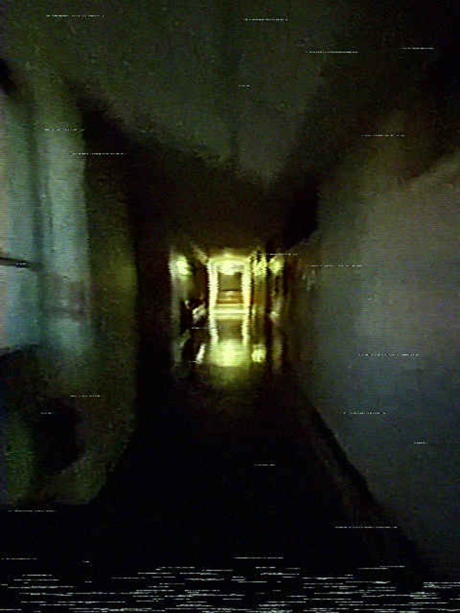 べりる tweet media