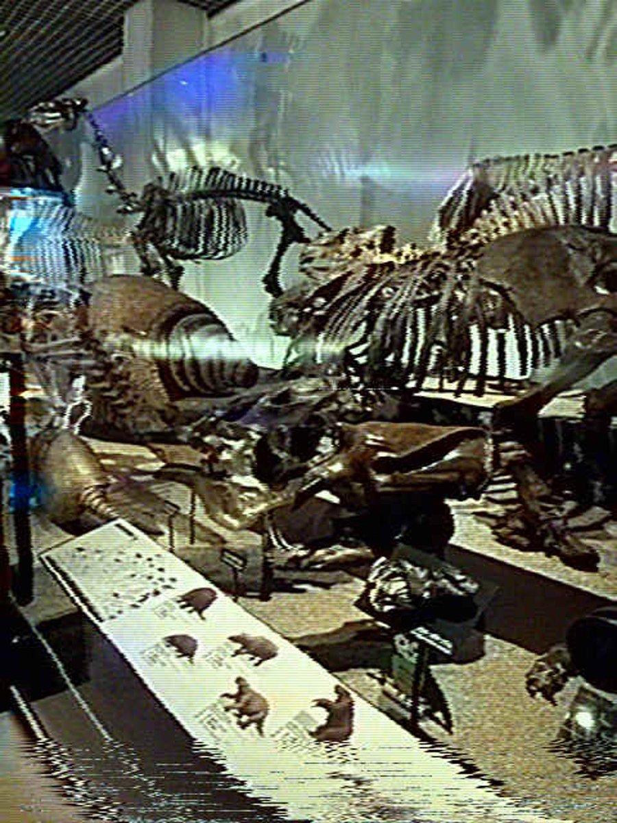 べりる tweet media