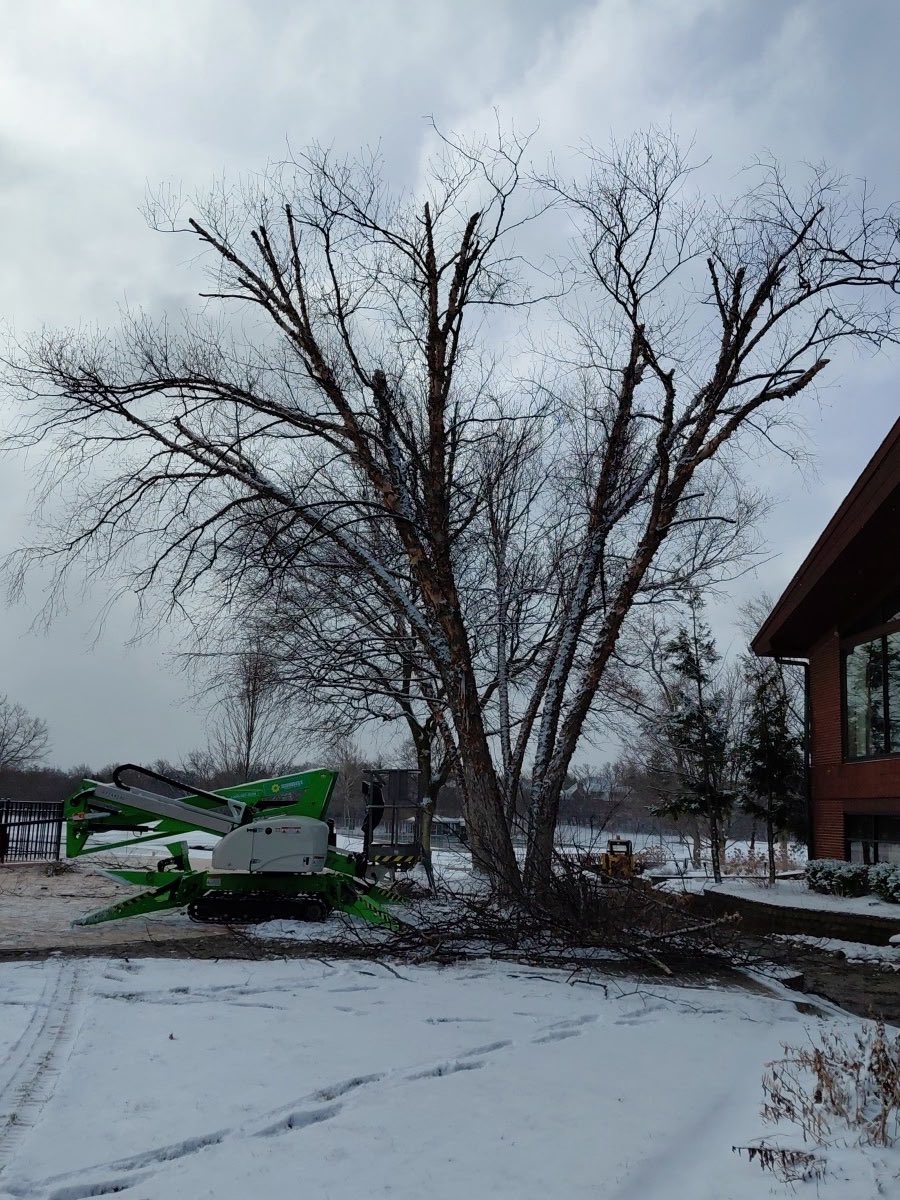 Kurt Sams, CGCS tweet media