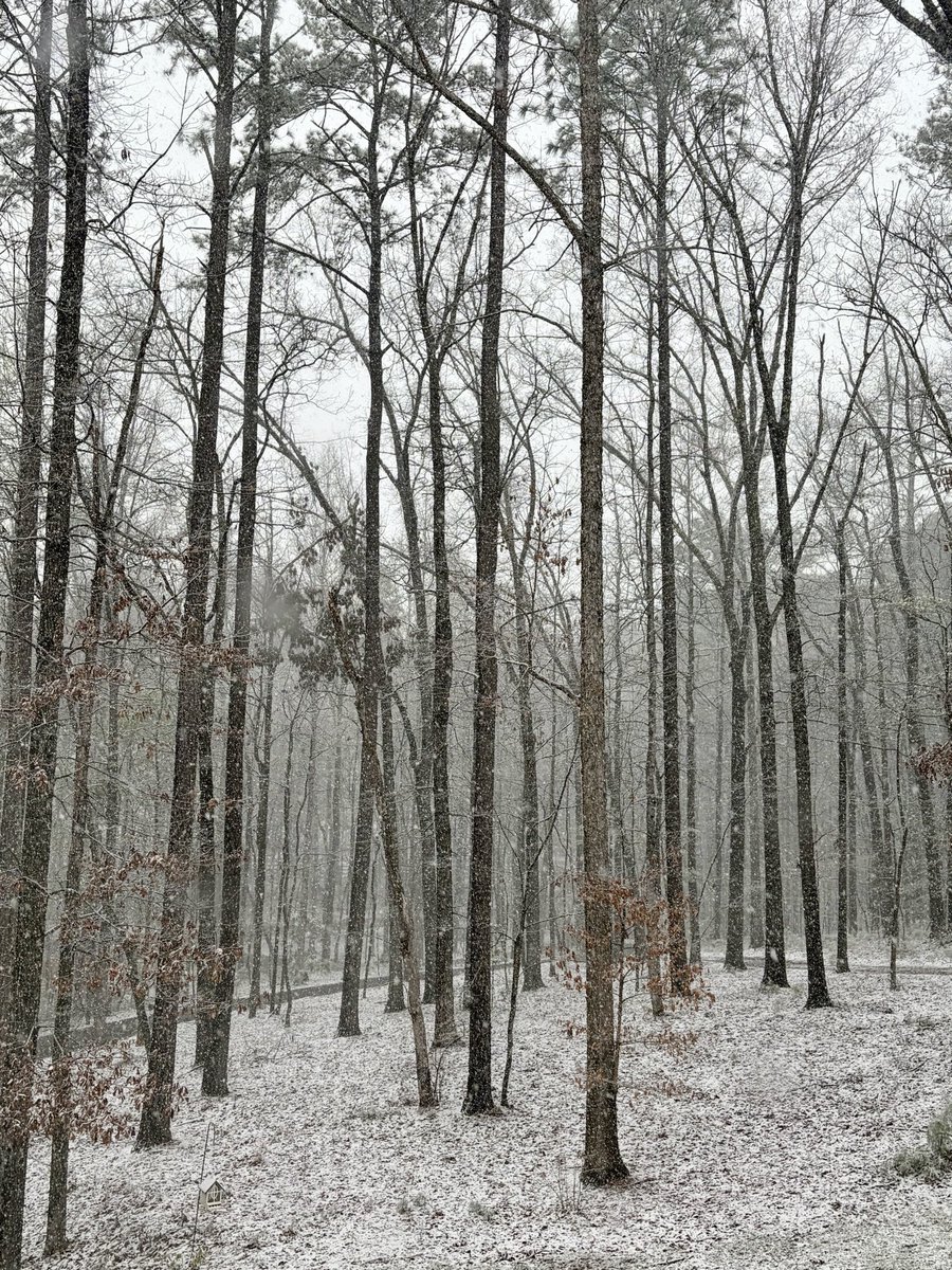 Jessica Whaley tweet media