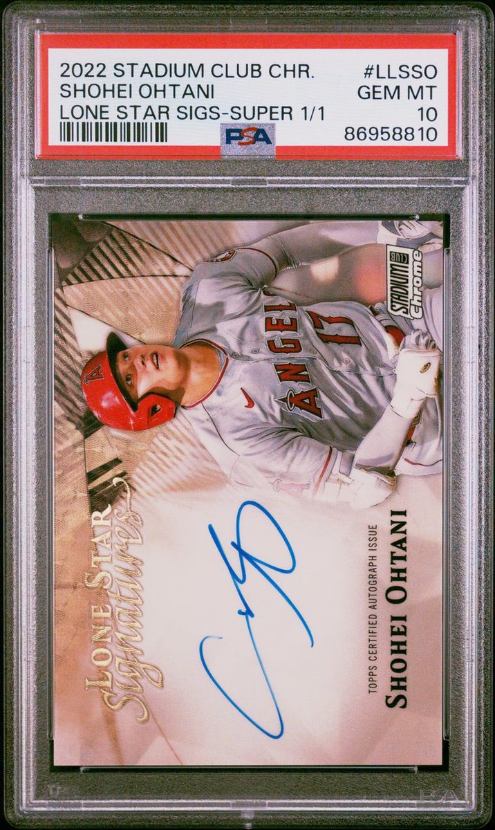 デビッド tweet media