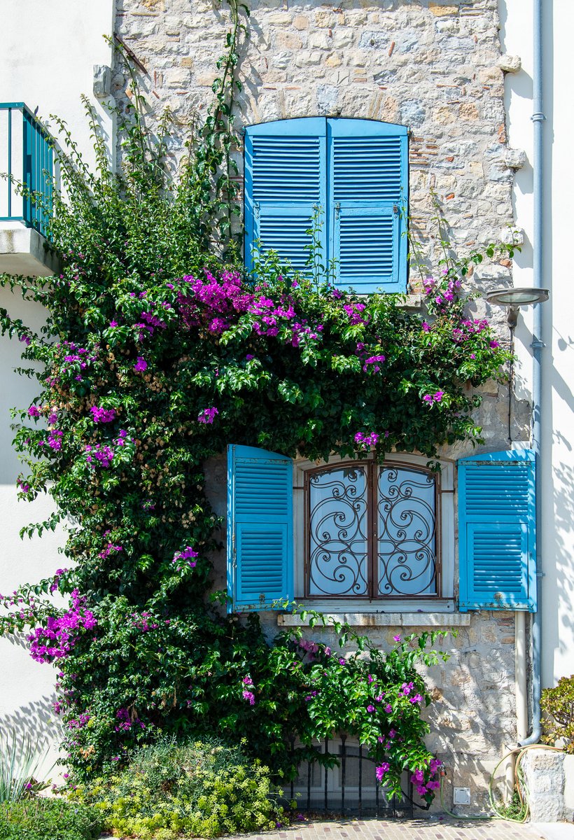 Roger Wellens tweet media