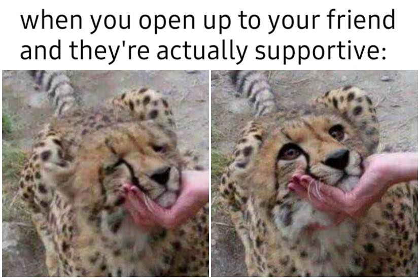 WholesomeMemes (@wholesomememe) on Twitter photo 