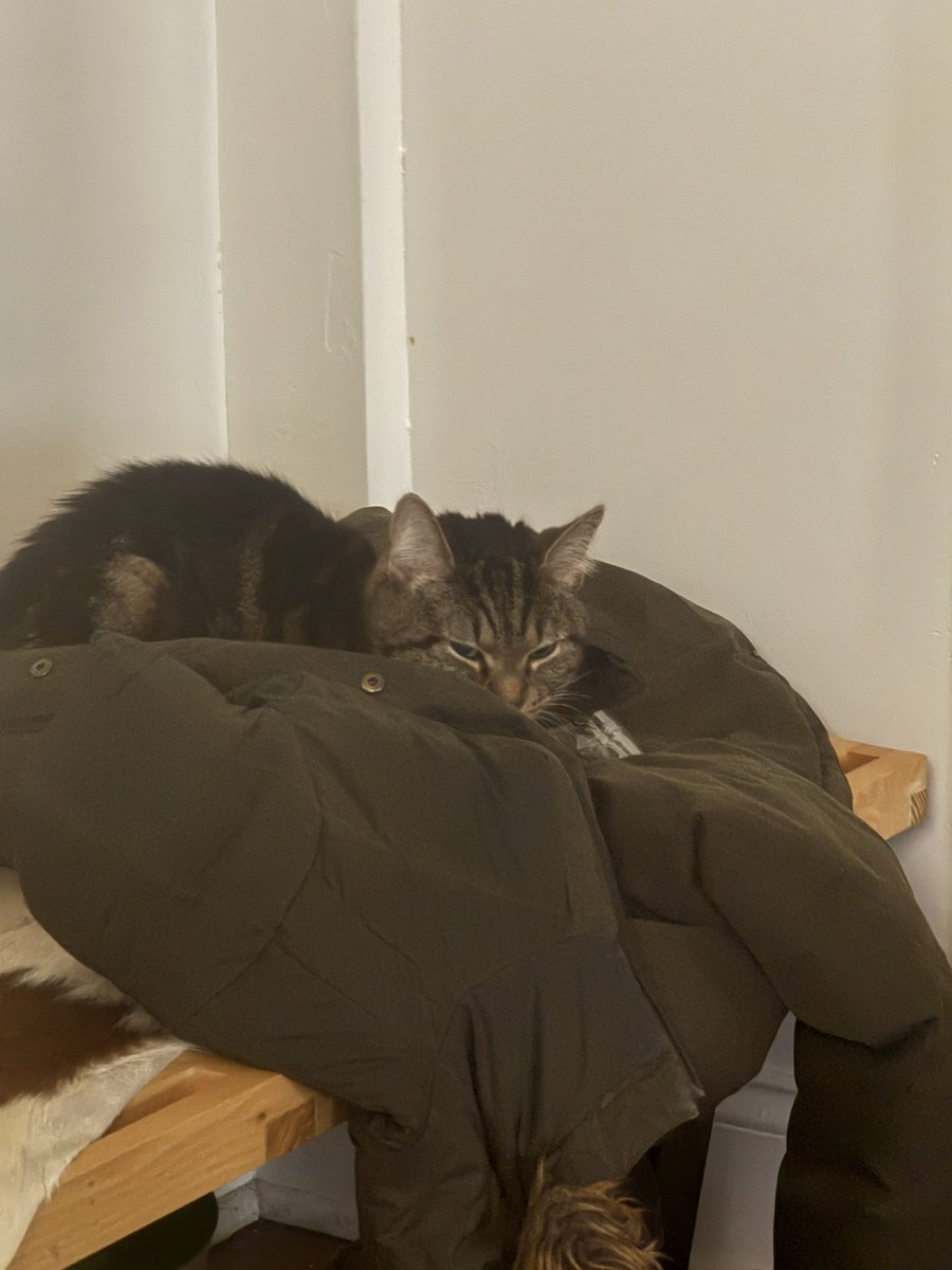 powerful wizerd tweet media