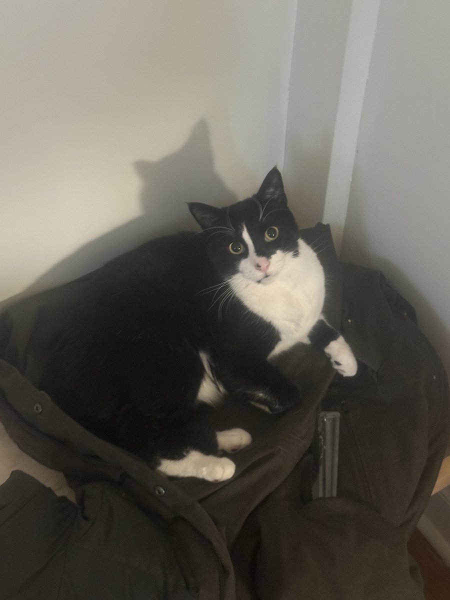 powerful wizerd tweet media