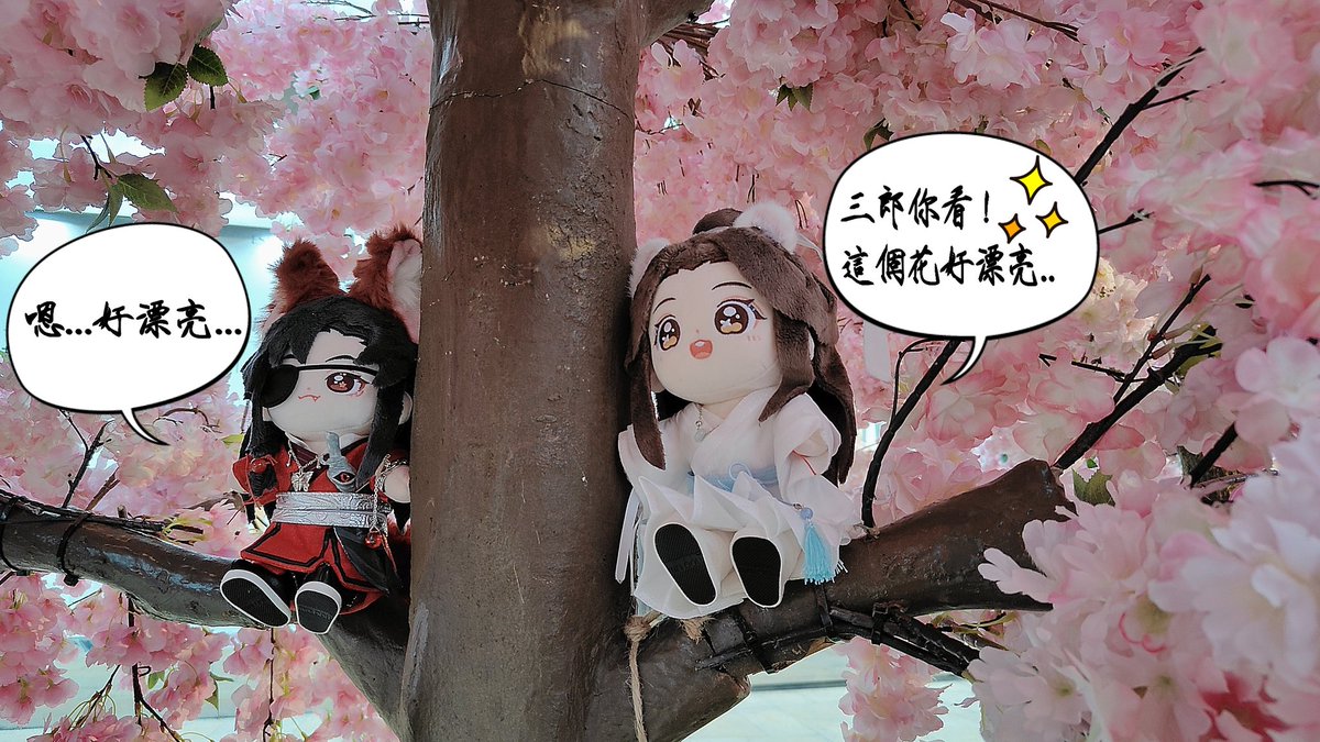 dadupy2000's tweet photo. 今天在百貨公司的櫻花季佈置樹上幫花憐寶寶拍了這張🤗💕

#TGCF
#花城
#謝憐 https://t.co/ioNAaeYZnW