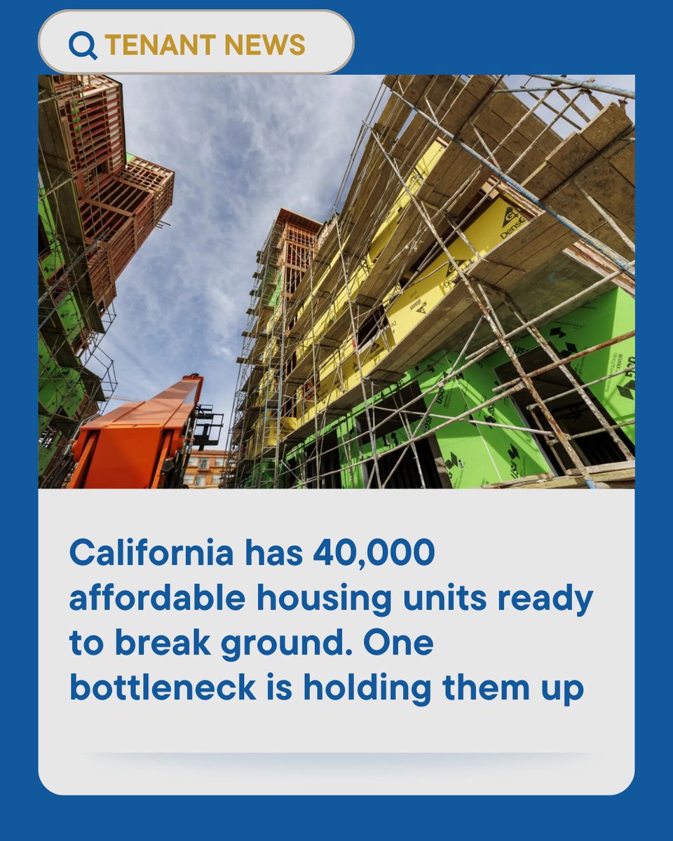 Tenants Together tweet media