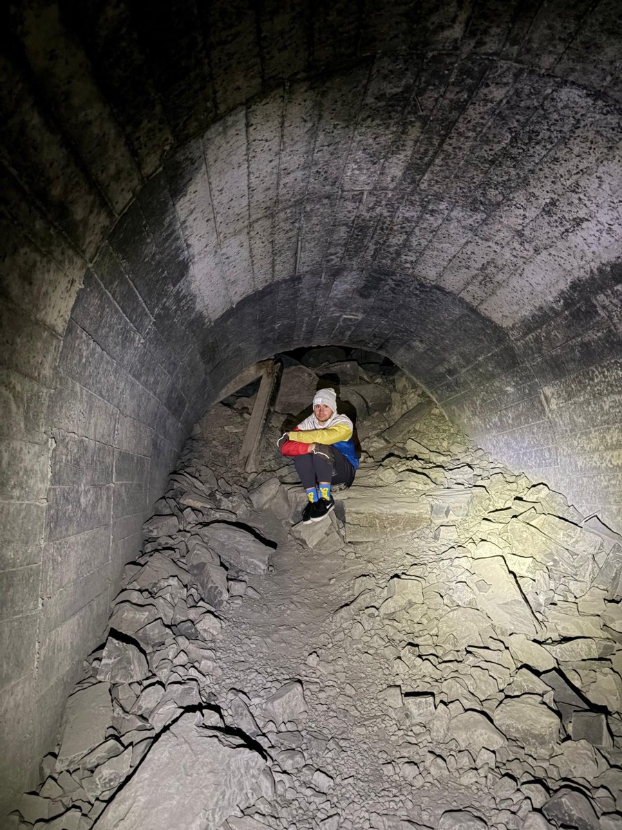 Joshua Rogers tweet media