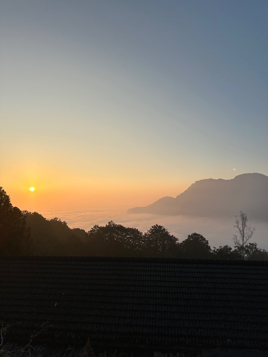 Joshua Rogers tweet media