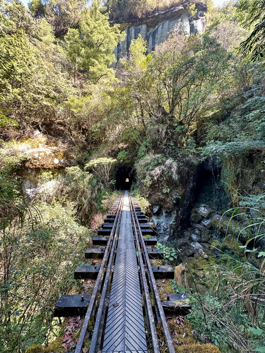 Joshua Rogers tweet media