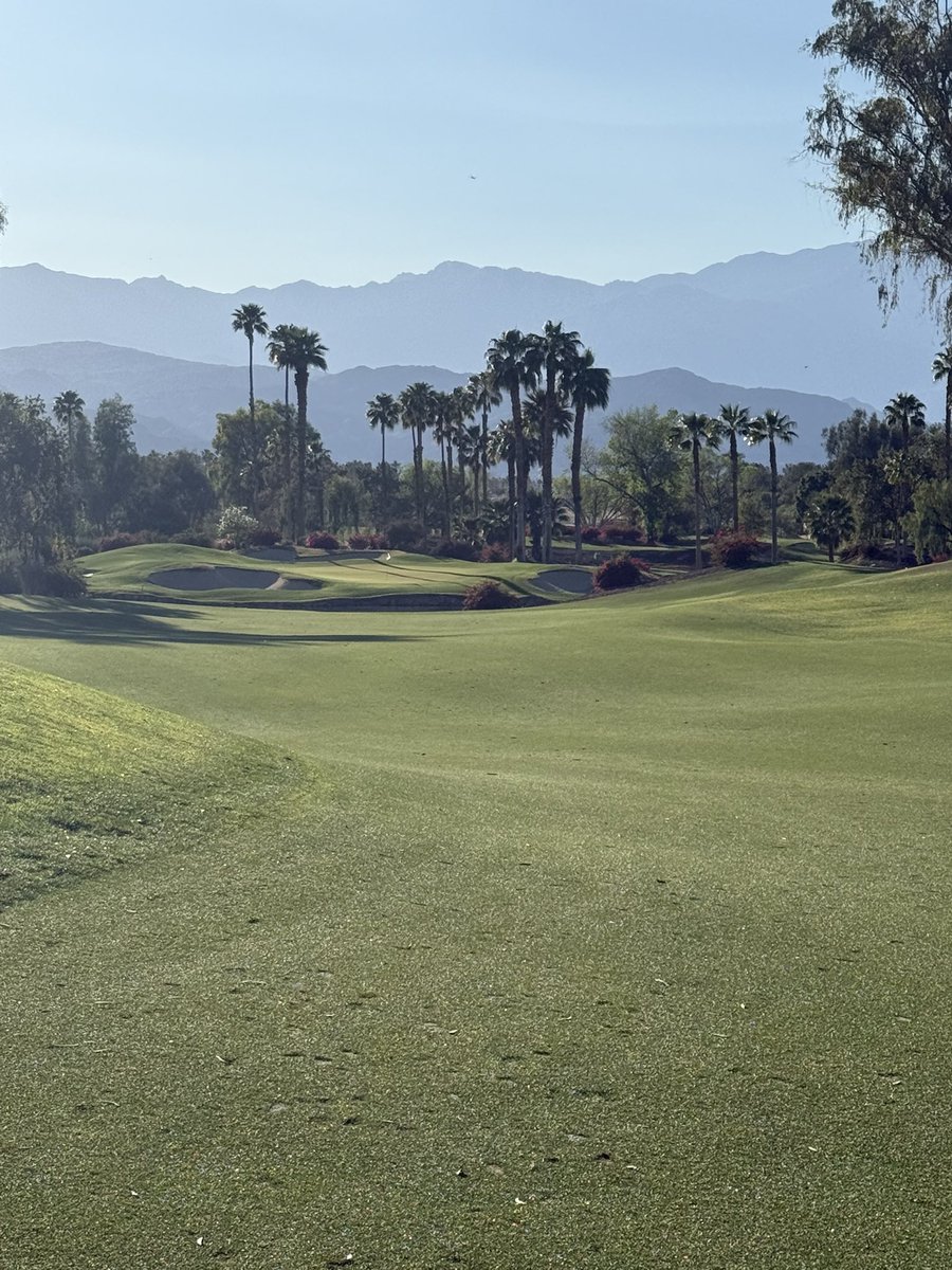 Pat Schiltz tweet media